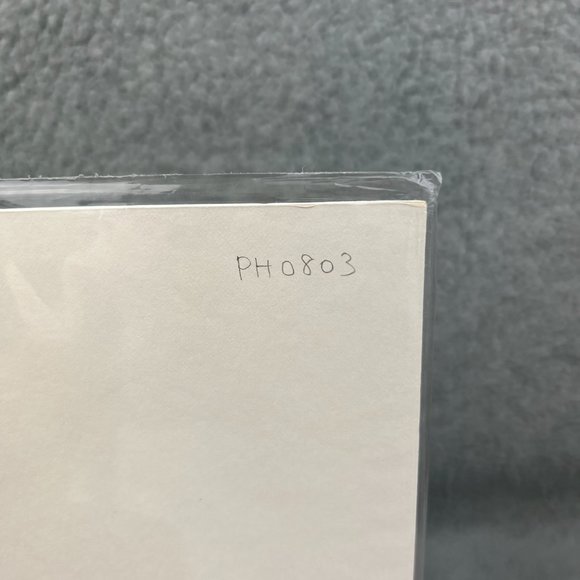 Michael J Leu Art Print SIGNED 300 Cityscape New York City Brooklyn Bridge NYC 1 - Picture 8 of 8